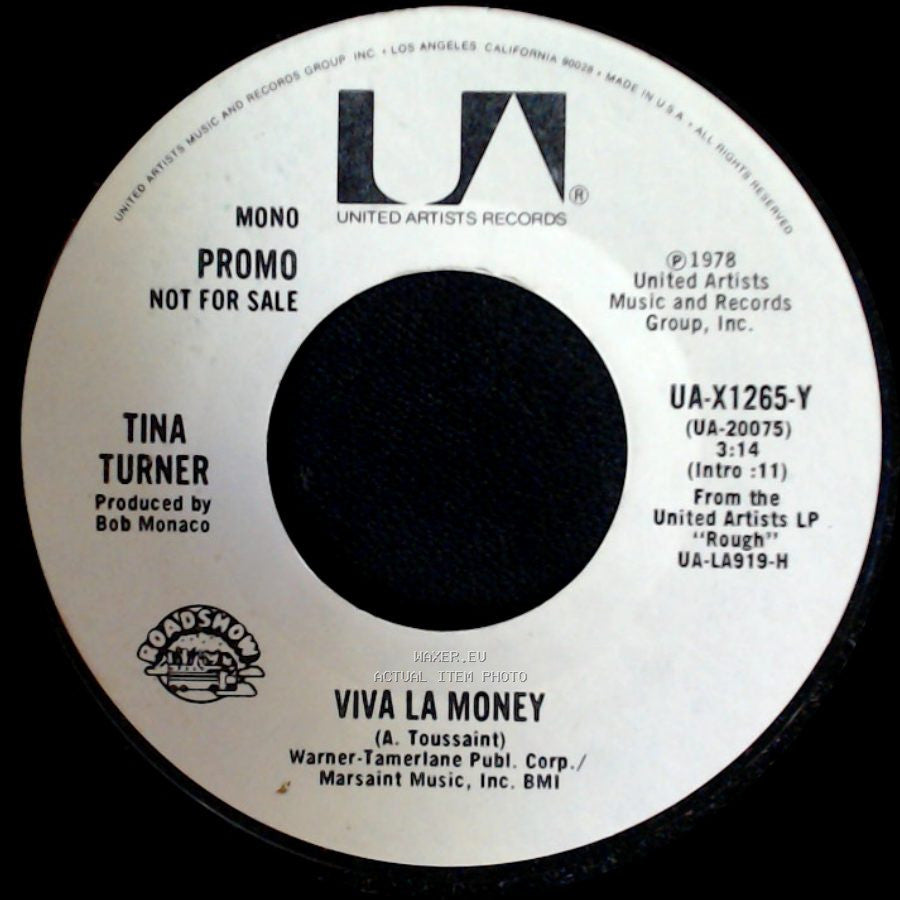 Tina Turner - Viva La Money / Viva La Money side B