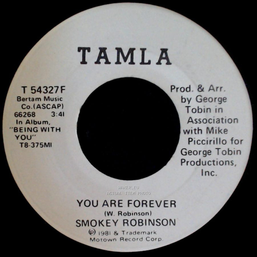 Smokey Robinson - You Are Forever / You Are Forever side A