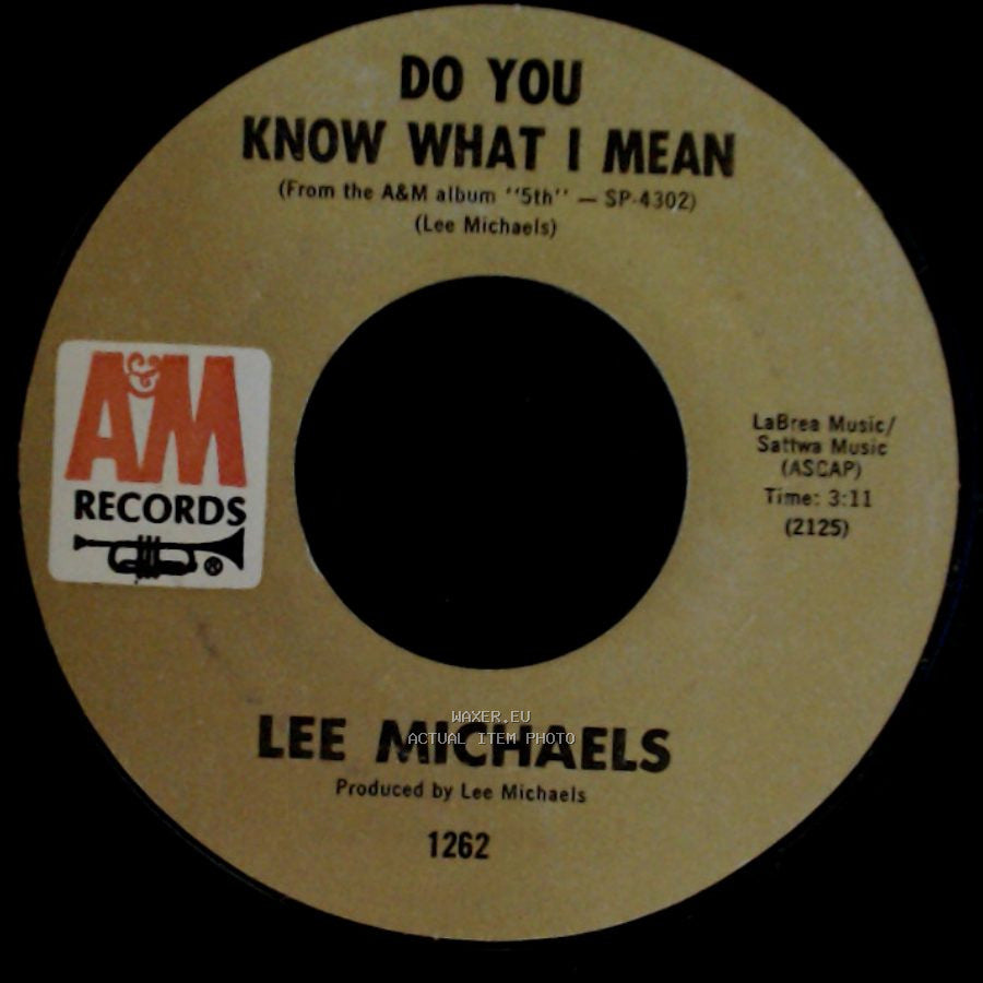 Lee Michaels - Do You Know What I Mean / Keep The Circle Turning side A