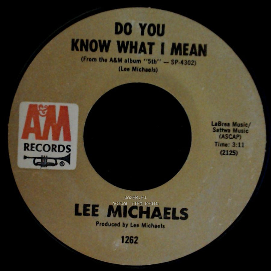 Lee Michaels - Do You Know What I Mean / Keep The Circle Turning side B