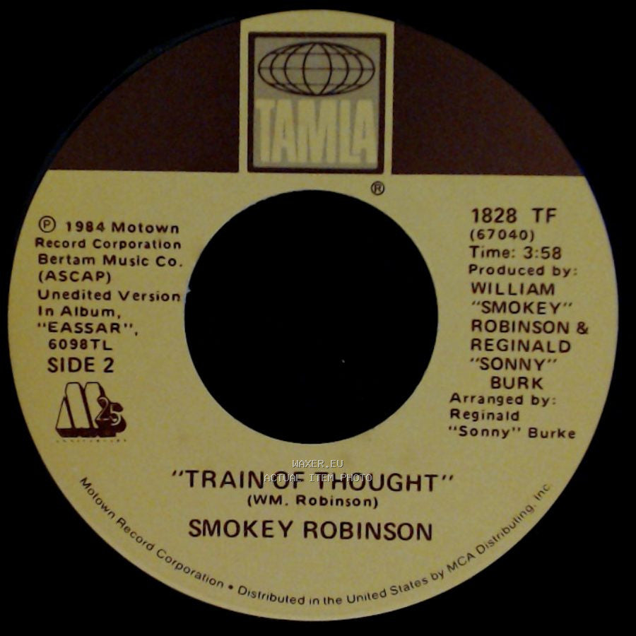 Smokey Robinson - Hold On To Your Love / Train Of Thought side B