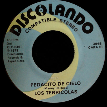 Los Terricolas - No Me Platiques Mas / Pedacito De Cielo side B