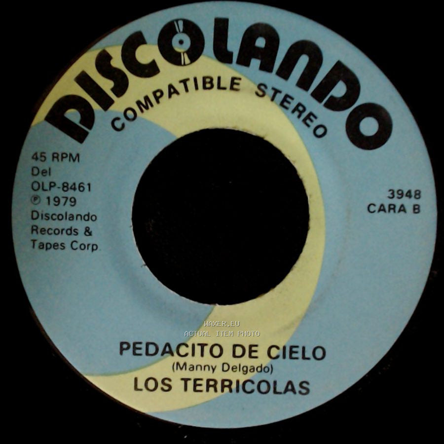 Los Terricolas - No Me Platiques Mas / Pedacito De Cielo side B