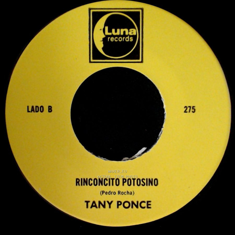 Tany Ponce - El Atentado A Reagan / Rinconcito Potosino side B