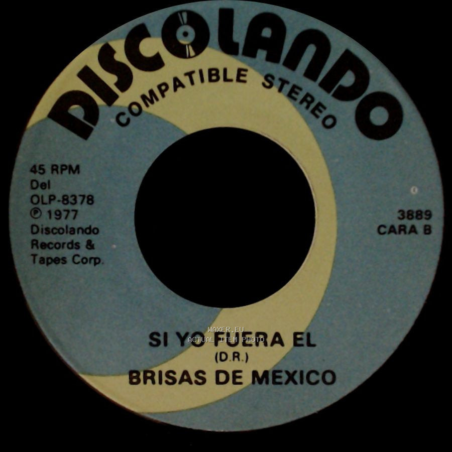 Brisas De Mexico - Dicen Que Tu / Si Yo Fuera El side B