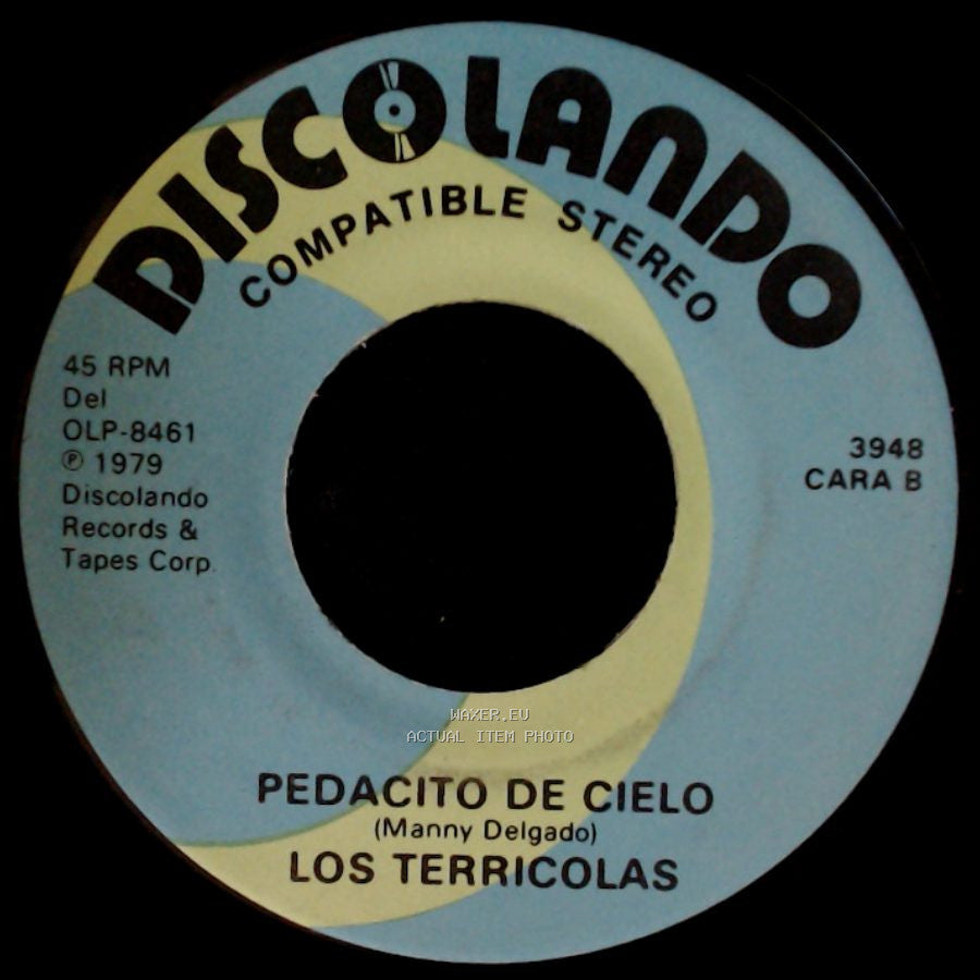 Los Terricolas - No Me Platiques Mas / Pedacito De Cielo side B