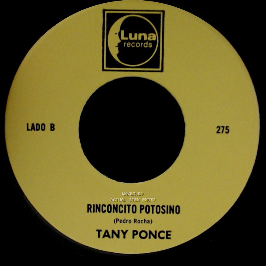 Tany Ponce - El Atentado A Reagan / Rinconcito Potosino side B
