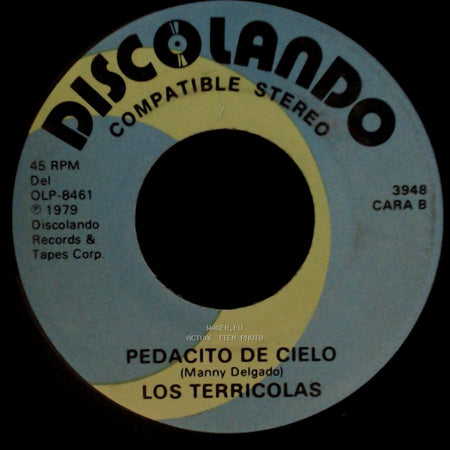 Los Terricolas - No Me Platiques Mas / Pedacito De Cielo side B