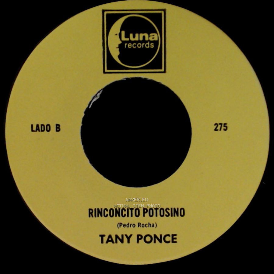 Tany Ponce - El Atentado A Reagan / Rinconcito Potosino side B