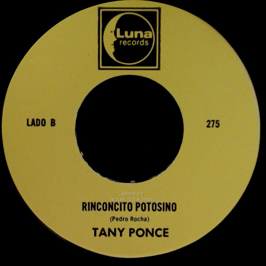 Tany Ponce - El Atentado A Reagan / Rinconcito Potosino side B