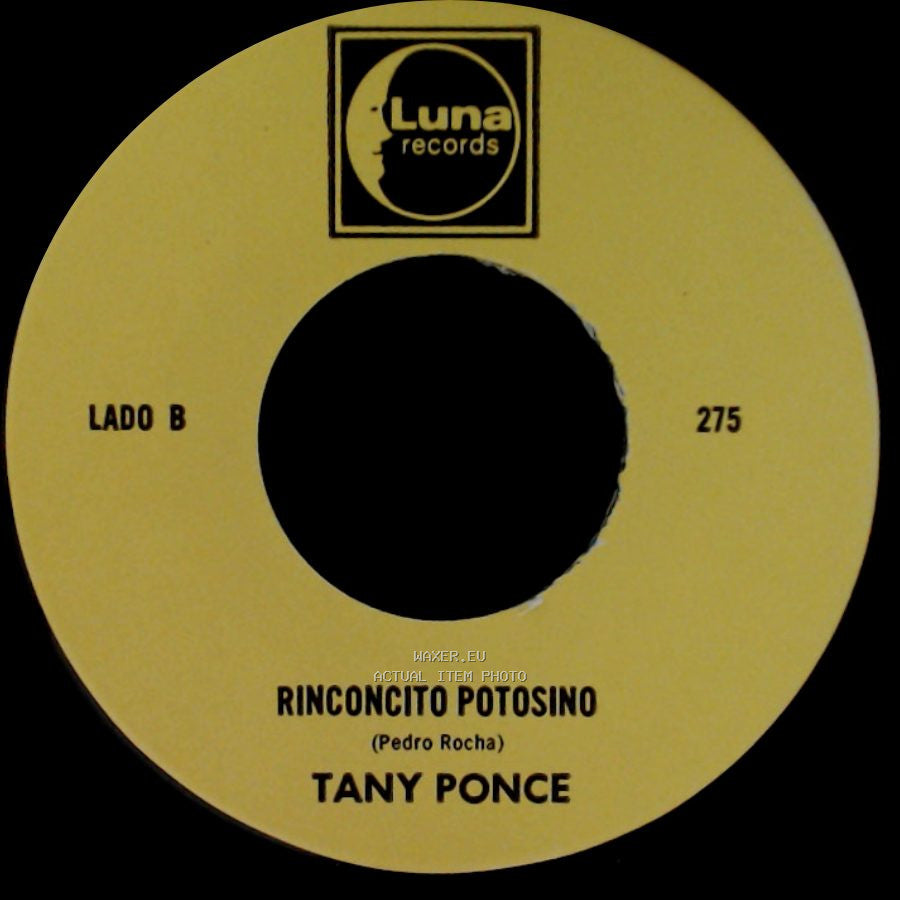 Tany Ponce - El Atentado A Reagan / Rinconcito Potosino side B