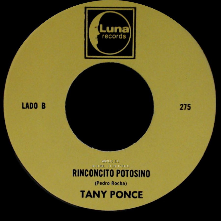 Tany Ponce - El Atentado A Reagan / Rinconcito Potosino side B
