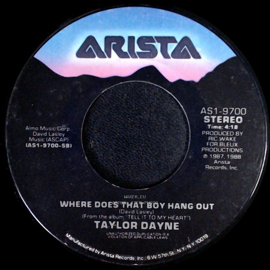 Taylor Dayne - I'll Always Love You / Where Does That Boy Hang Out side B