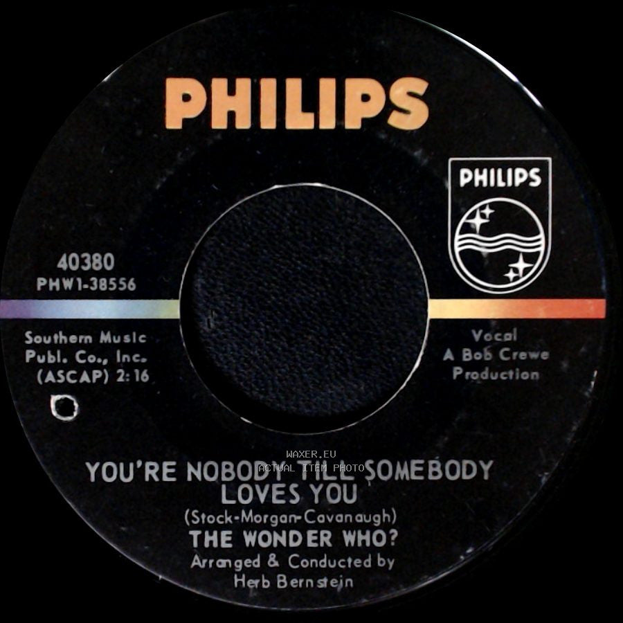 The Wonder Who? - You're Nobody Till Somebody Loves You / On The Good Ship Lollipop side A