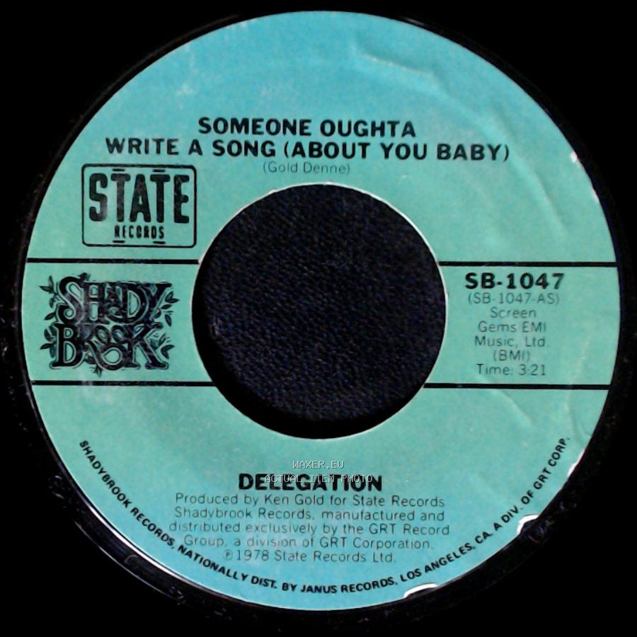 Delegation - Someone Oughta Write A Song (About You Baby) / Mr. Heartbreak side A