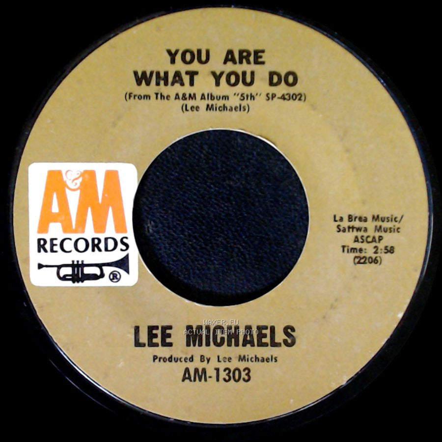 Lee Michaels - Can I Get A Witness / You Are What You Do side B