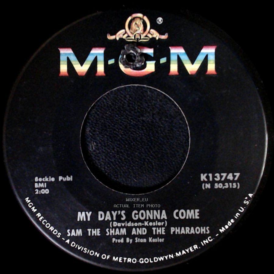 Sam The Sham And The Pharaohs - Black Sheep / My Day's Gonna Come side B