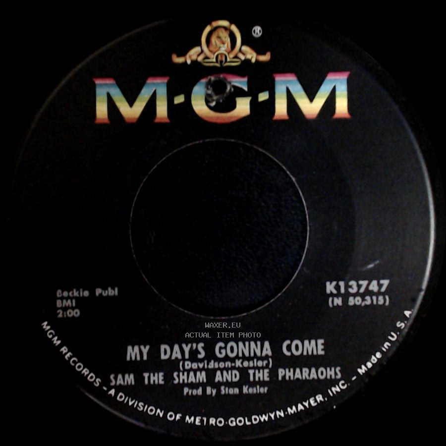 Sam The Sham And The Pharaohs - My Day's Gonna Come / Black Sheep side A