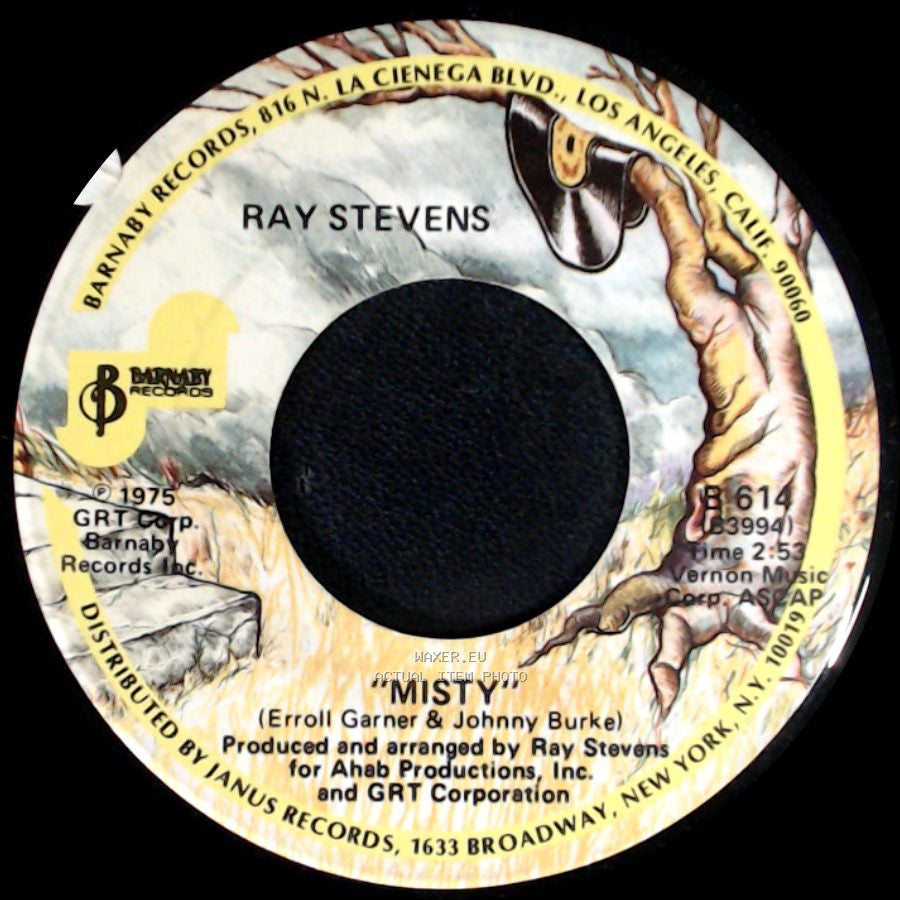 Ray Stevens - Misty / Sunshine side A