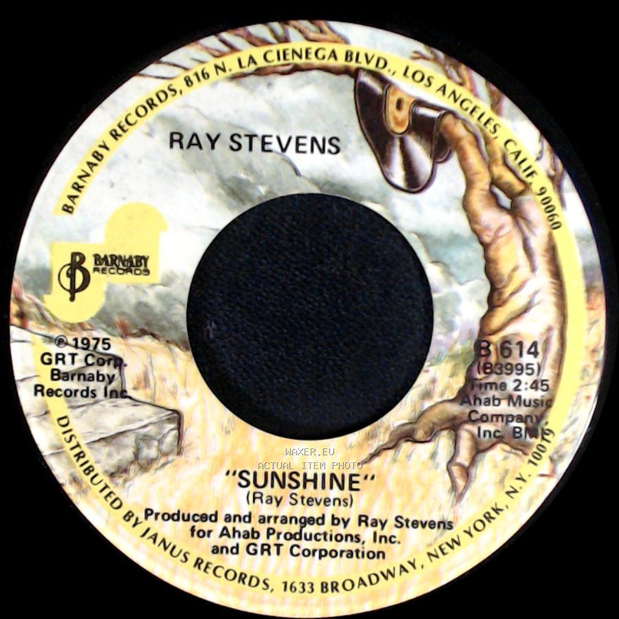 Ray Stevens - Misty / Sunshine side B