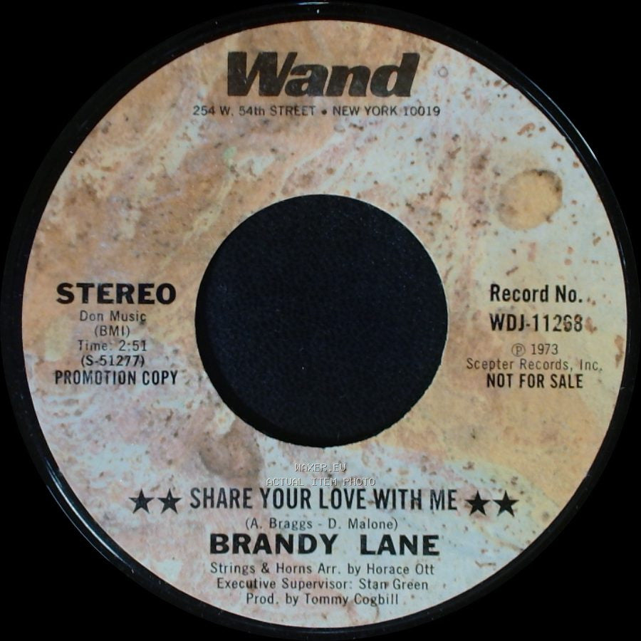 Brandy Lane - Share Your Love With Me / Share Your Love With Me side A