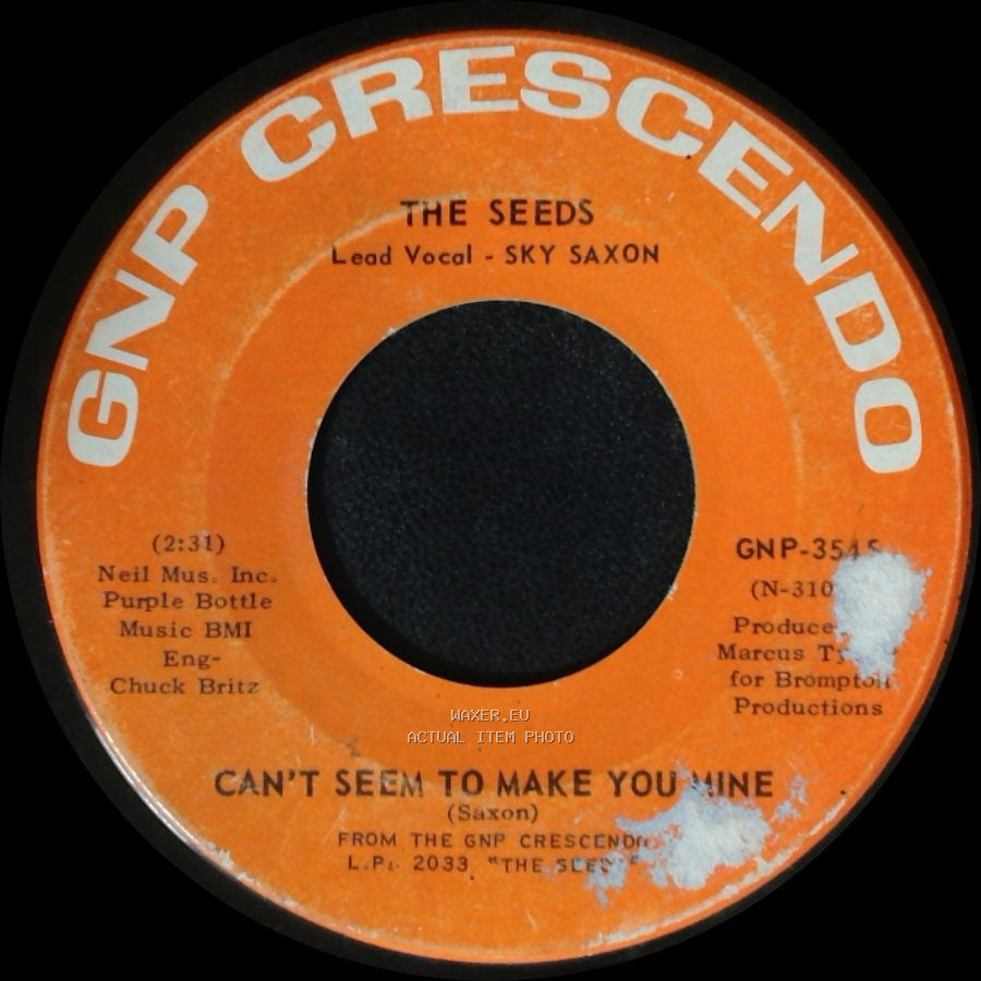 The Seeds - I Tell Myself / Can't Seem To Make You Mine side B