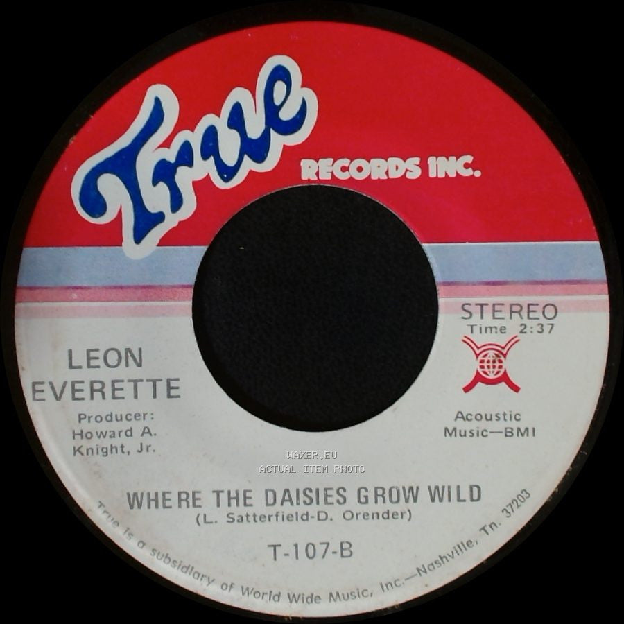 Leon Everette - Goodbye King Of Rock 'n' Roll / Where The Daisies Grow Wild side B