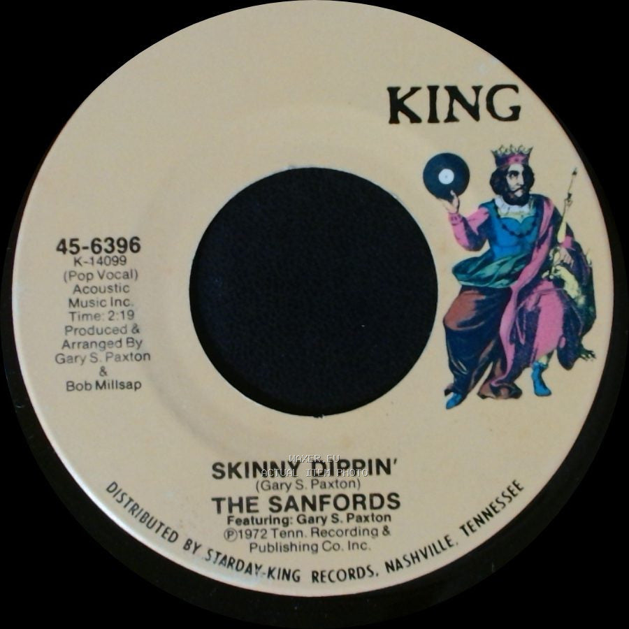 The Sanfords - Skinny Dippin' / A Rare And Ordinary Thing side A
