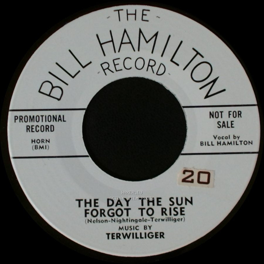 Terwilliger - The Day The Sun Forgot To Rise / Turntable Of Love side A