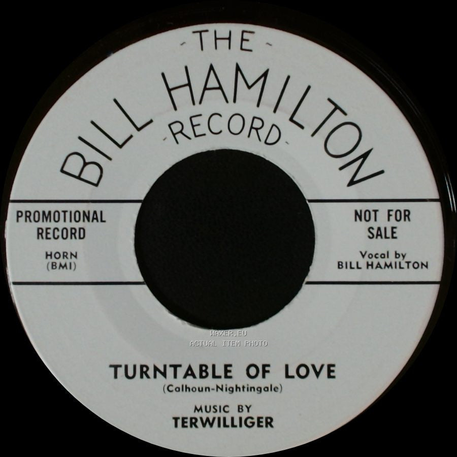 Terwilliger - The Day The Sun Forgot To Rise / Turntable Of Love side B