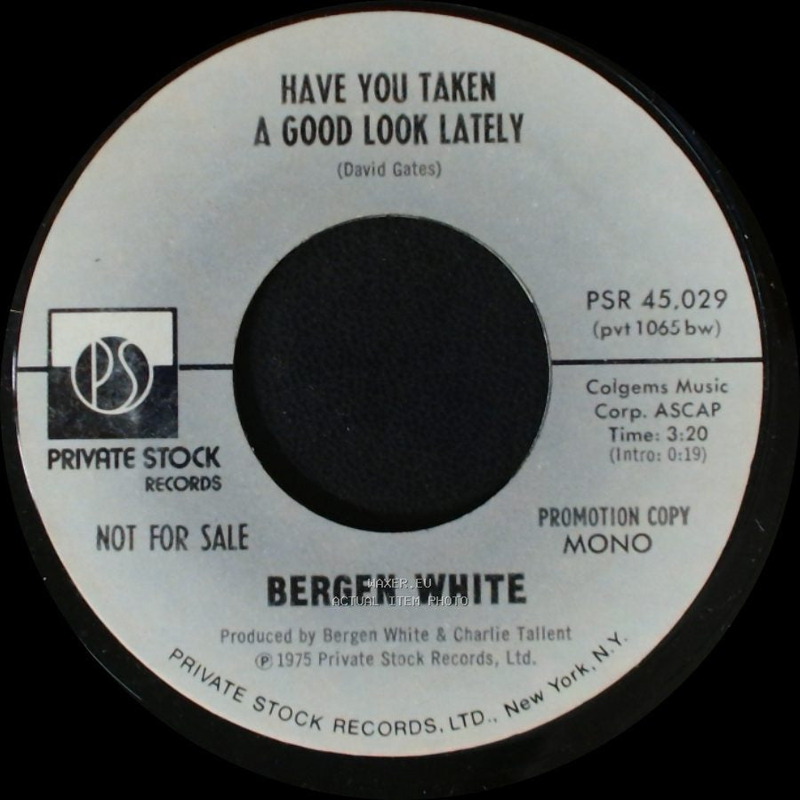 Bergen White - Have You Taken A Good Look Lately / Have You Taken A Good Look Lately side A