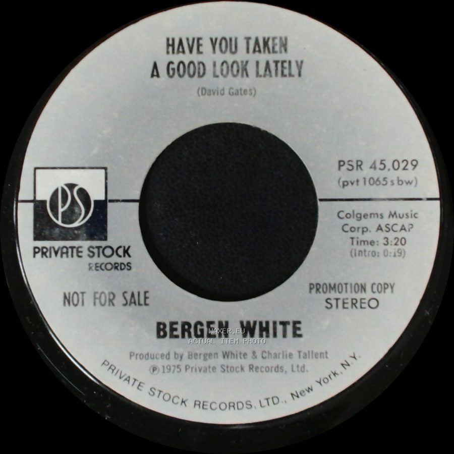 Bergen White - Have You Taken A Good Look Lately / Have You Taken A Good Look Lately side B