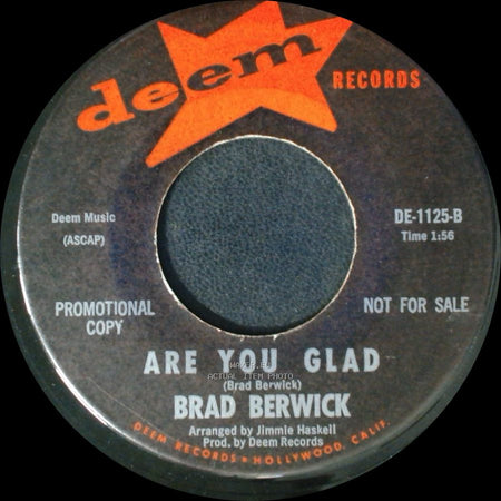 Brad Berwick - God, Country, And My Baby / Are You Glad side B