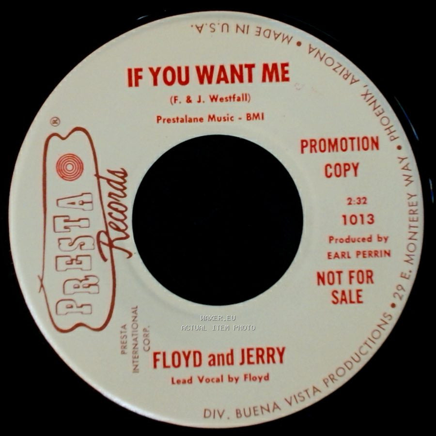 Floyd And Jerry - Dusty / If You Want Me side B