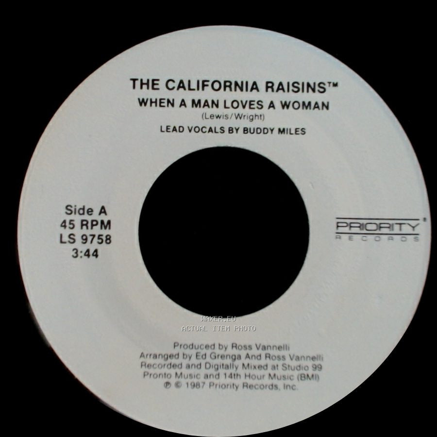 The California Raisins™ - When A Man Loves A Woman / Sweet, Delicious & Marvelous side A
