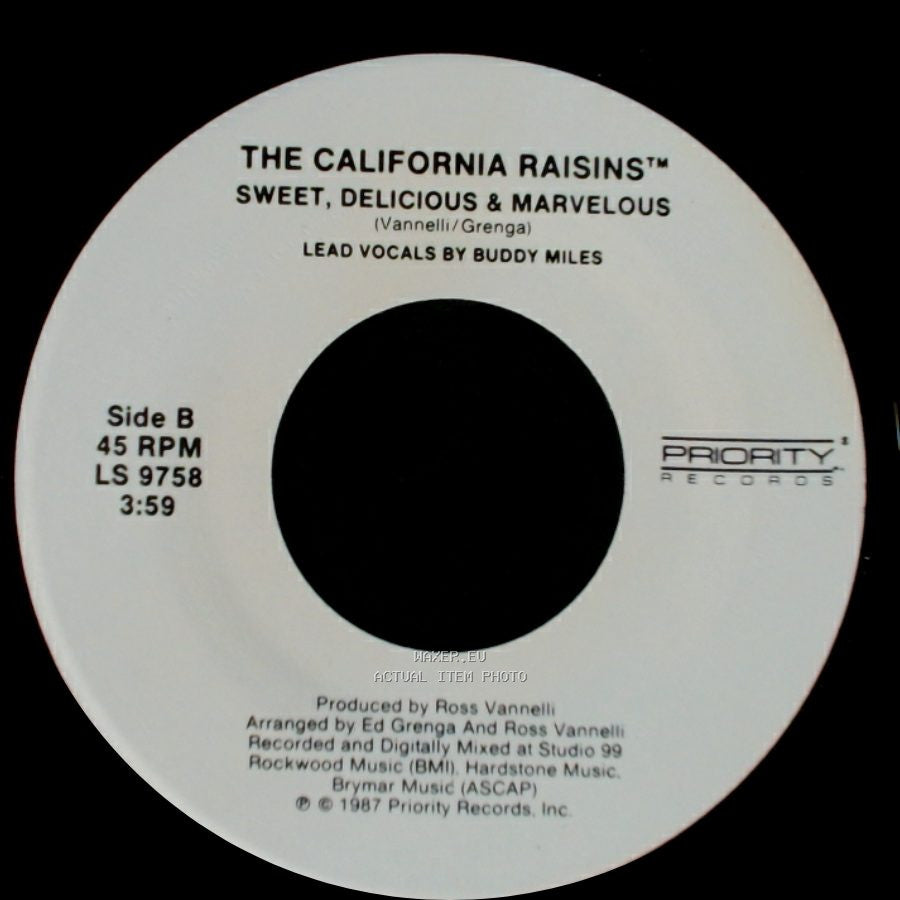 The California Raisins™ - When A Man Loves A Woman / Sweet, Delicious & Marvelous side B