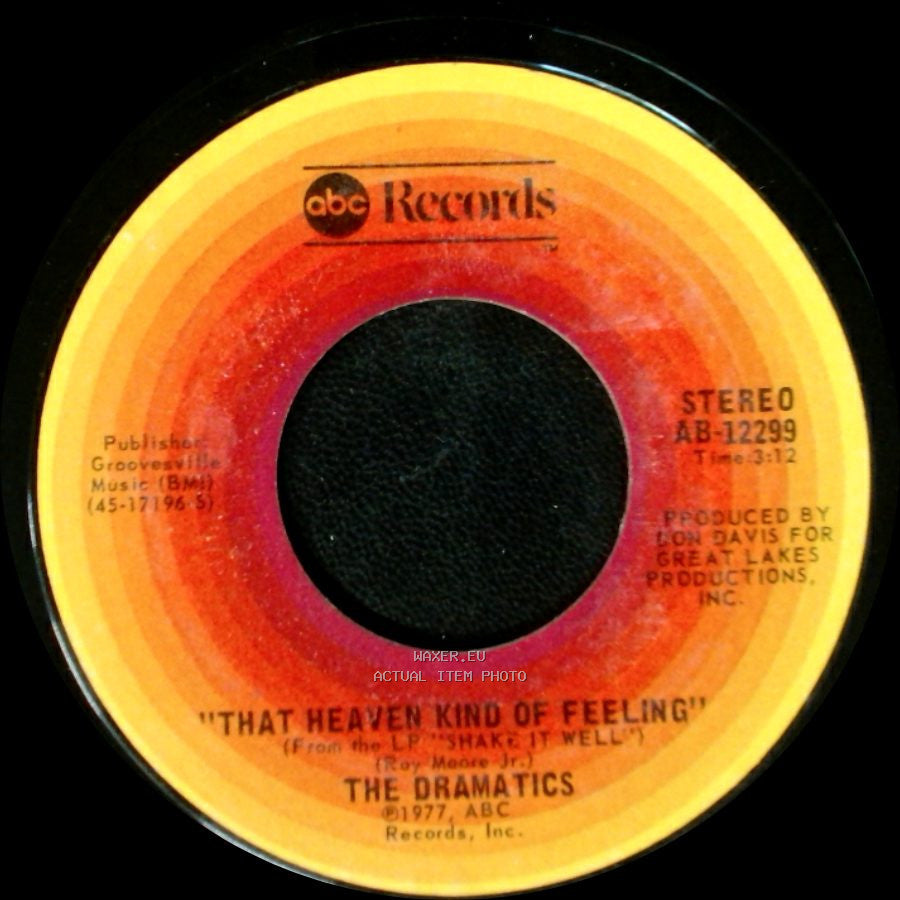 The Dramatics - Shake It Well / That Heaven Kind Of Feeling side B