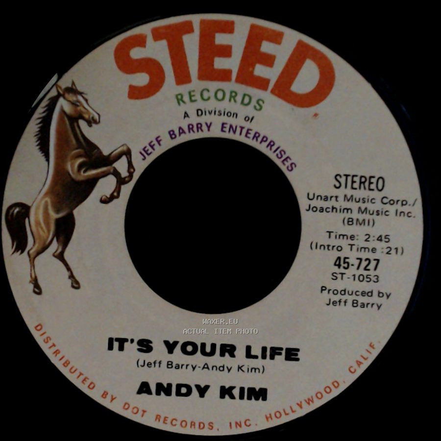 Andy Kim - To Be Continued / It's Your Life side B