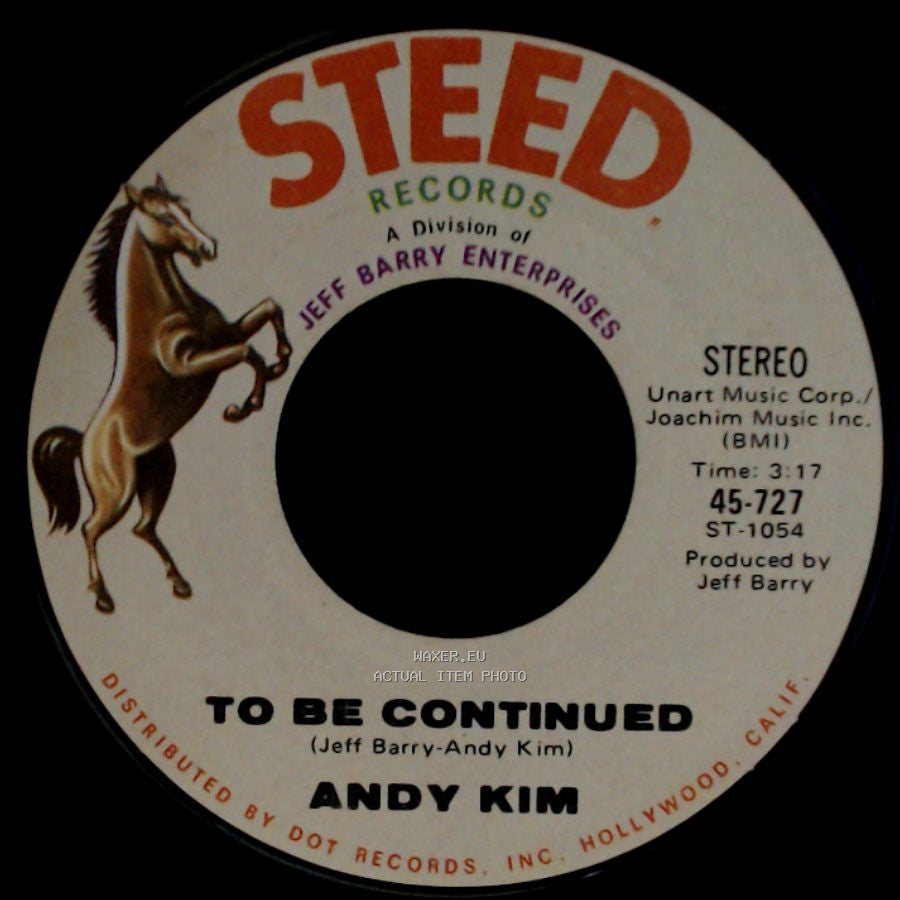 Andy Kim - To Be Continued / It's Your Life side A