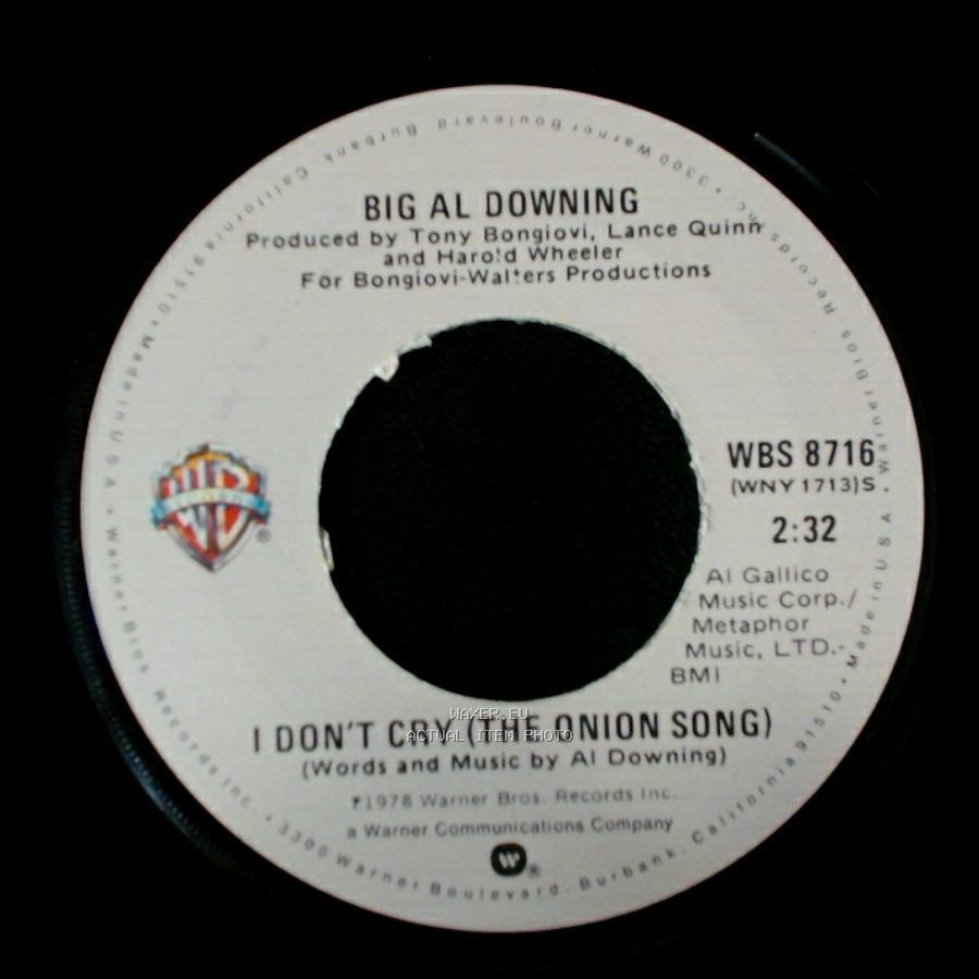 Big Al Downing - Mr. Jones (Long Version) / I Don't Cry (The Onion Song) side B