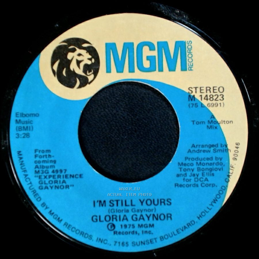 Gloria Gaynor - (If You Want It) Do It Yourself / I'm Still Yours side B