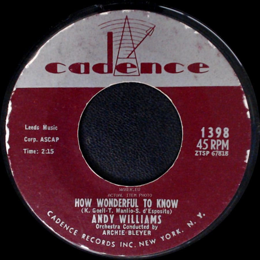 Andy Williams - The Bilbao Song / How Wonderful To Know side B
