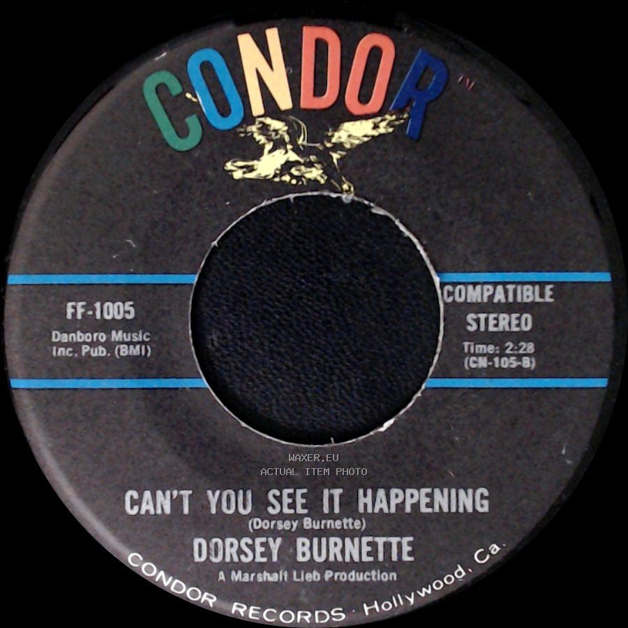 Dorsey Burnette - Can't You See It Happening / The Magnificent Sanctuary Band side A