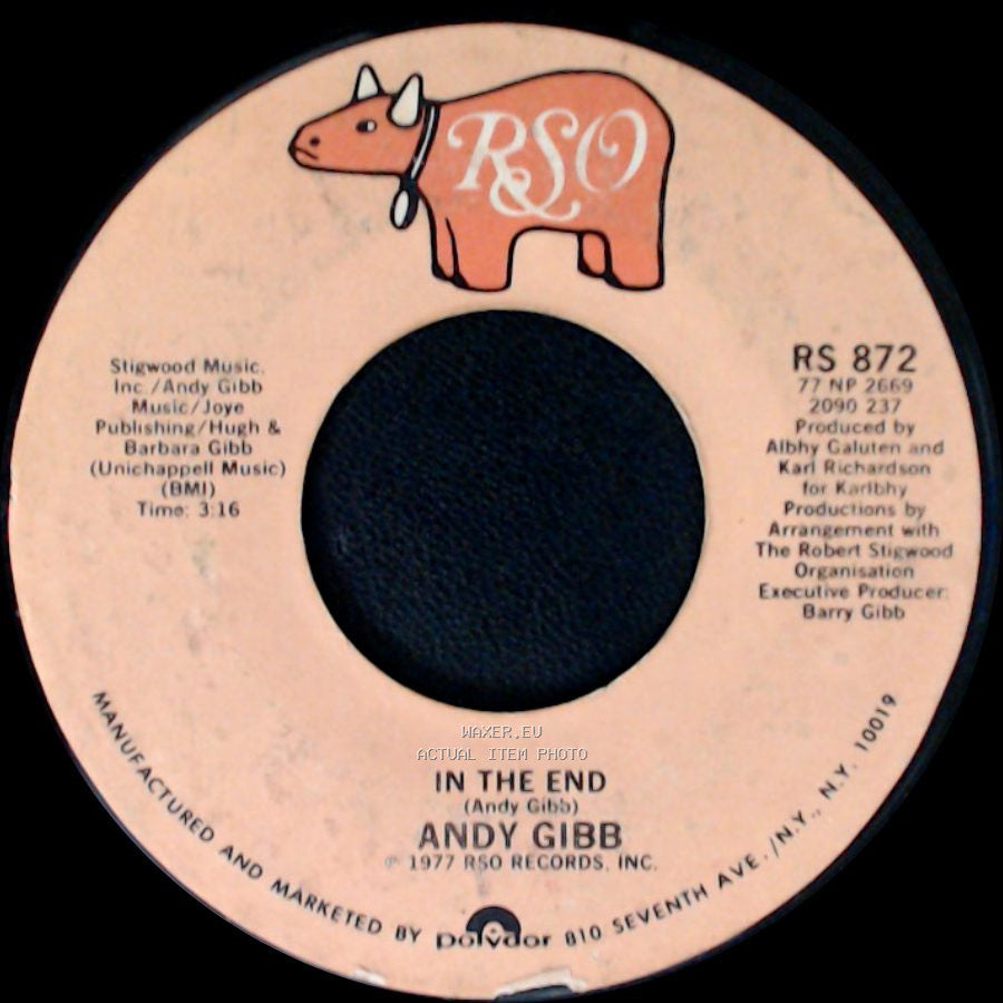 Andy Gibb - In The End / I Just Want To Be Your Everything side A