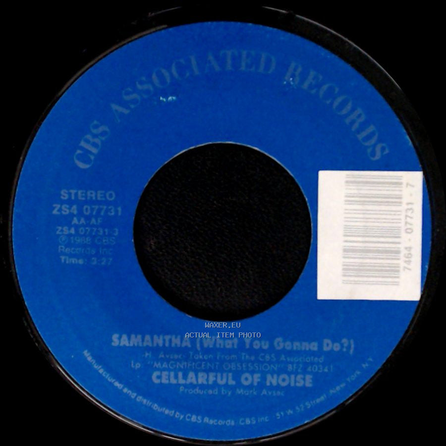 Cellarful Of Noise - Shuck And Jive / Samantha (What You Gonna Do?) side B