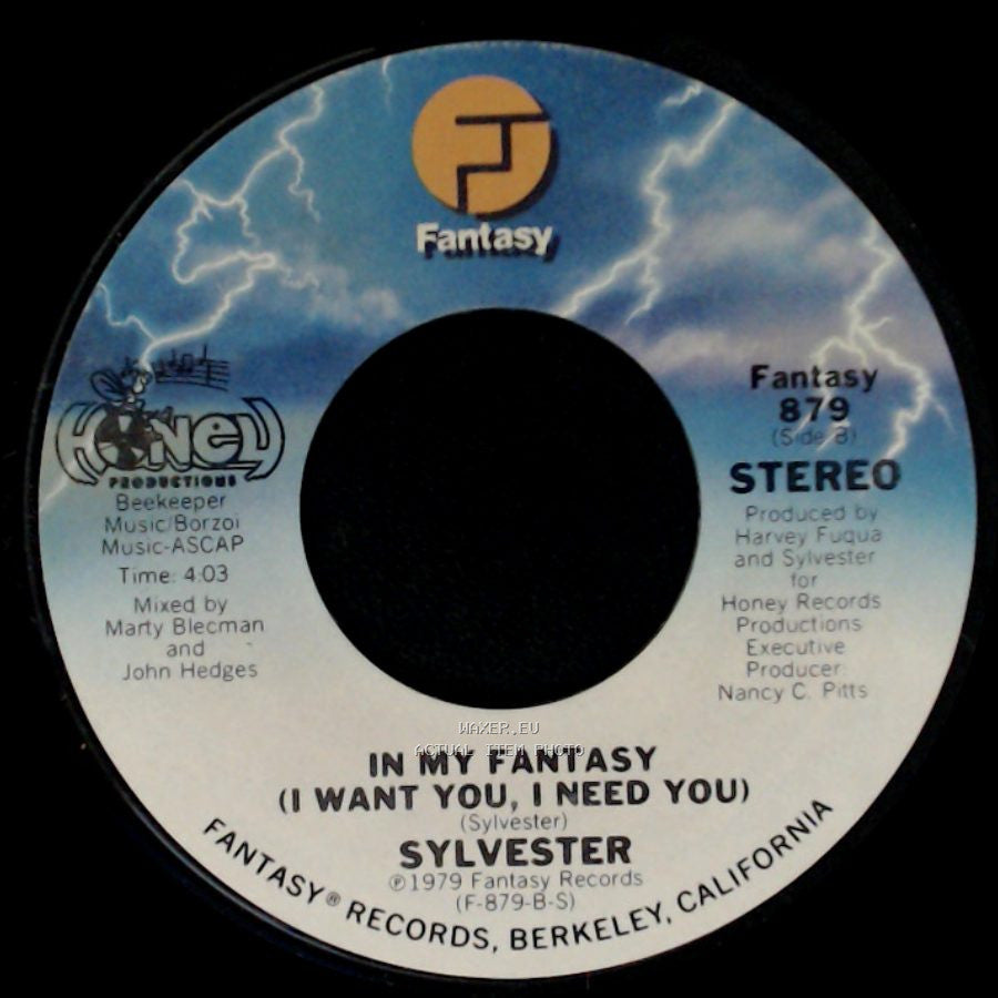 Sylvester - Can't Stop Dancing / In My Fantasy (I Want You, I Need You) side B
