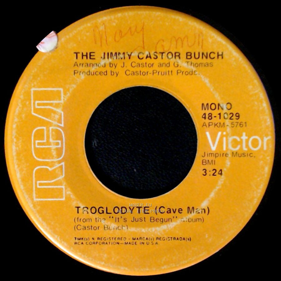 The Jimmy Castor Bunch - Troglodyte (Cave Man) / I Promise To Remember side A