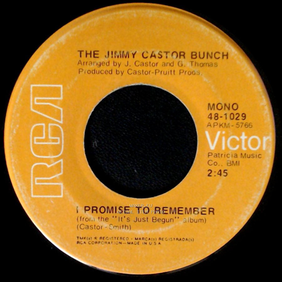 The Jimmy Castor Bunch - Troglodyte (Cave Man) / I Promise To Remember side B
