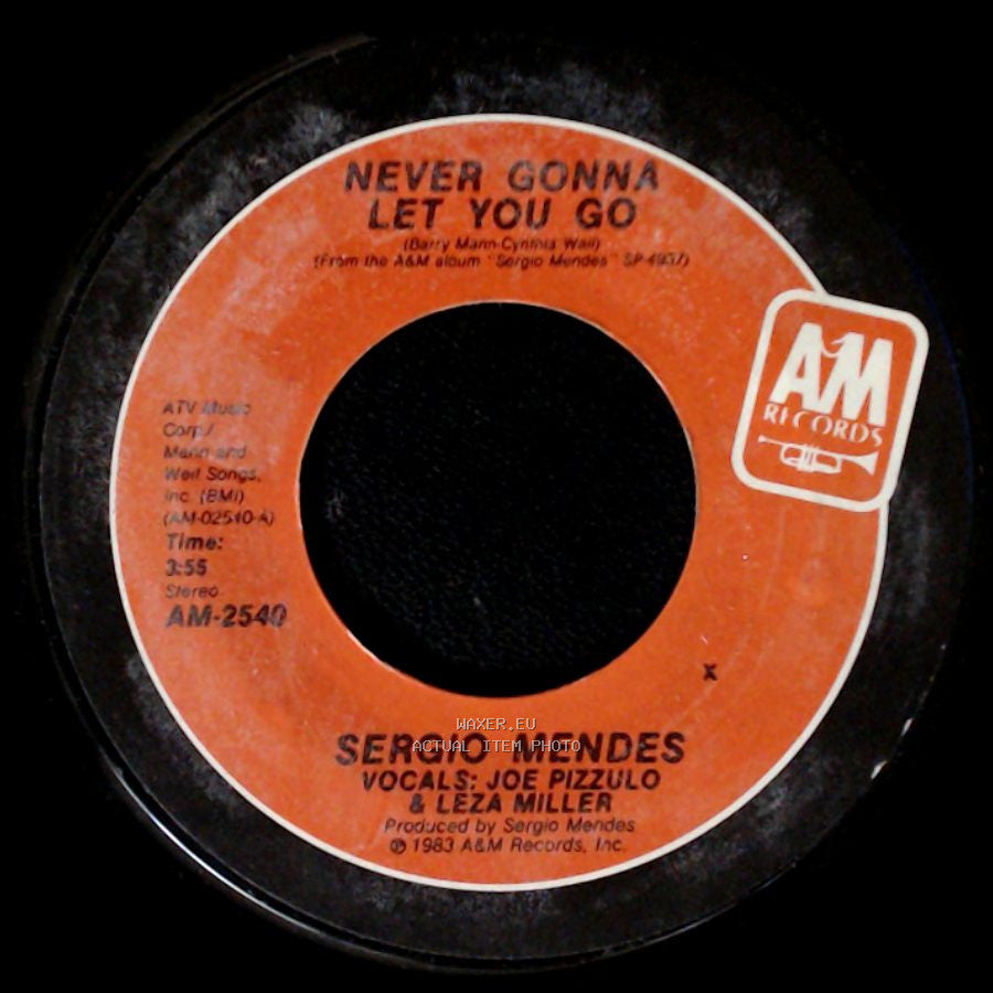Sergio Mendes - Never Gonna Let You Go / Carnaval side A