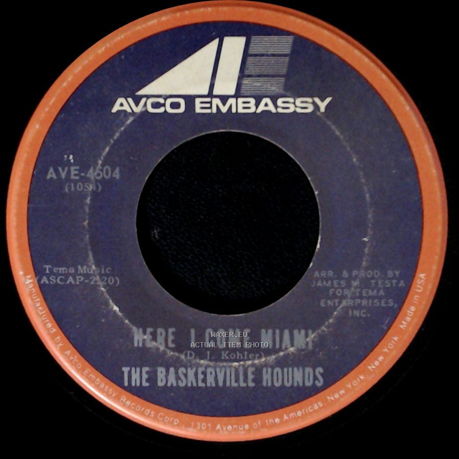 The Baskerville Hounds - Hold Me / Here I Come Miami side B